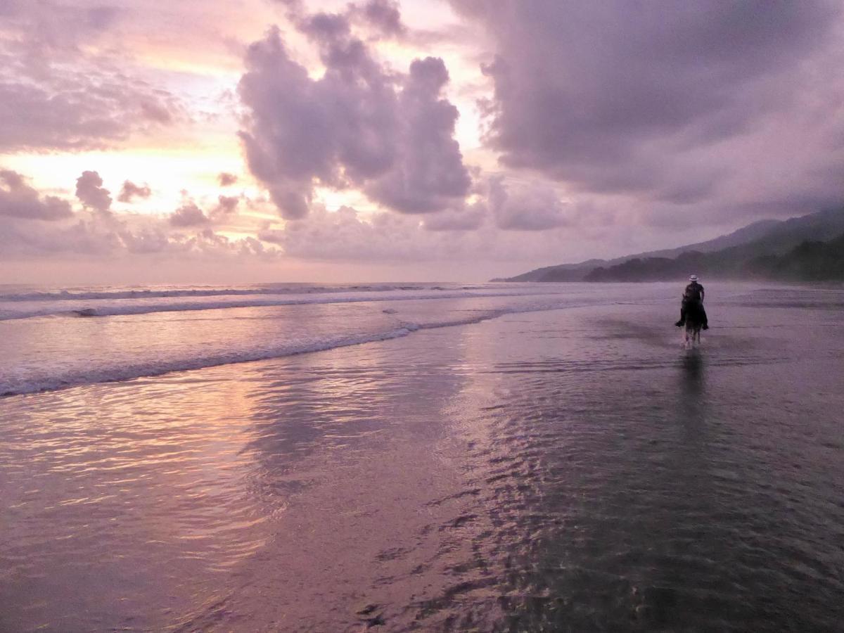 Uvita Bali Bosque Retreat Buitenkant foto
