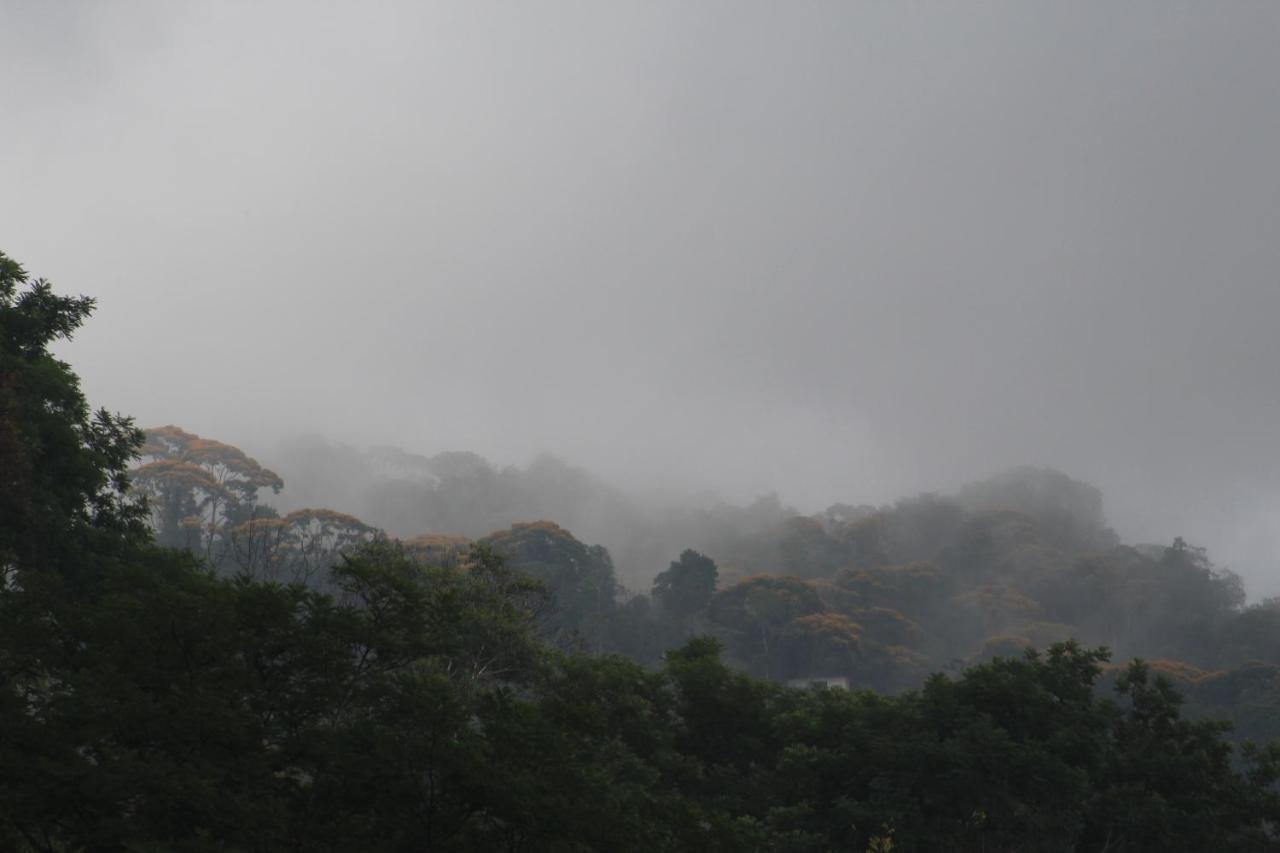 Uvita Bali Bosque Retreat Buitenkant foto